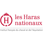 Chargé(e) de mise en ligne et référencement de pages internet sur le cheval
